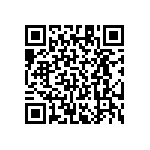 RT1206BRE0746K4L QRCode