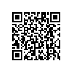 RT1206BRE074K22L QRCode