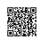 RT1206BRE0795K3L QRCode