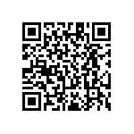 RT1206BRE0795R3L QRCode