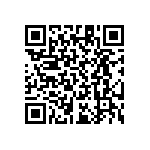 RT1206CRB07113KL QRCode