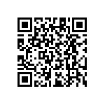 RT1206CRB07113RL QRCode