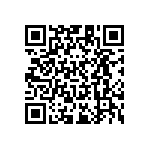 RT1206CRB0711KL QRCode