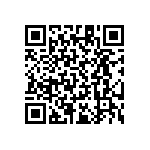 RT1206CRB07124RL QRCode