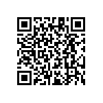 RT1206CRB0712K1L QRCode