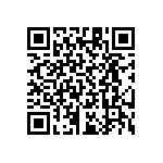 RT1206CRB07133RL QRCode