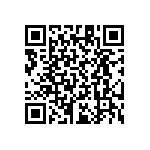 RT1206CRB07137RL QRCode