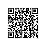 RT1206CRB0713R3L QRCode