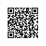 RT1206CRB0716R2L QRCode