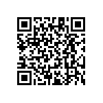 RT1206CRB0716R9L QRCode