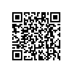 RT1206CRB0722R1L QRCode