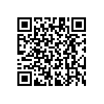 RT1206CRB07243RL QRCode