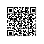 RT1206CRB0727R4L QRCode