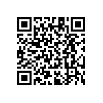 RT1206CRB07280RL QRCode