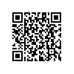 RT1206CRB07287KL QRCode