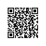 RT1206CRB0729K4L QRCode