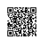 RT1206CRB072K21L QRCode