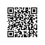 RT1206CRB072K87L QRCode