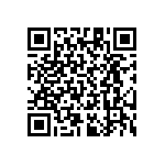 RT1206CRB07301RL QRCode