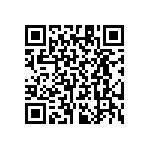 RT1206CRB0733K2L QRCode