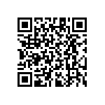 RT1206CRB07357RL QRCode