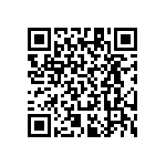 RT1206CRB073K01L QRCode