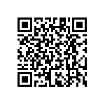 RT1206CRB07432RL QRCode