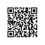 RT1206CRB0743K2L QRCode
