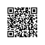 RT1206CRB0743RL QRCode