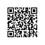 RT1206CRB07510RL QRCode