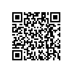 RT1206CRB075K9L QRCode