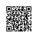 RT1206CRB07806RL QRCode