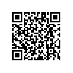 RT1206CRB07887RL QRCode