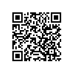 RT1206CRB078K2L QRCode