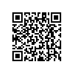 RT1206CRB0790R9L QRCode