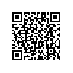 RT1206CRC0719R6L QRCode