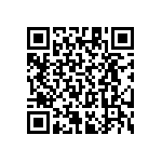 RT1206CRC07261RL QRCode