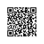 RT1206CRC07287RL QRCode