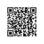 RT1206CRC07300RL QRCode