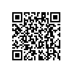 RT1206CRC07301KL QRCode