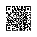 RT1206CRC07383KL QRCode