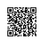 RT1206CRC0739R2L QRCode