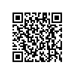 RT1206CRC07487KL QRCode