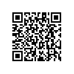 RT1206CRC07953RL QRCode