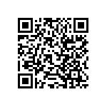 RT1206CRE071K2L QRCode