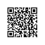 RT1206CRE07300RL QRCode