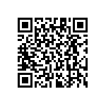 RT1206CRE0730K1L QRCode