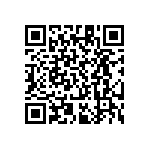 RT1206CRE073K09L QRCode
