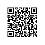RT1206CRE0744K2L QRCode