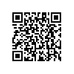 RT1206DRD0713R3L QRCode